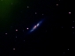 M82