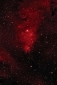 Nebulosa Cono (NGC2264)